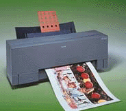 md1000p.gif (20412 bytes)