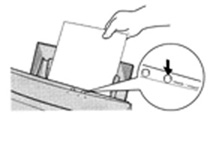 md1000man4.jpg (9701 bytes)